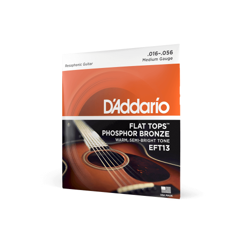 D`ADDARIO EFT13 фото 2