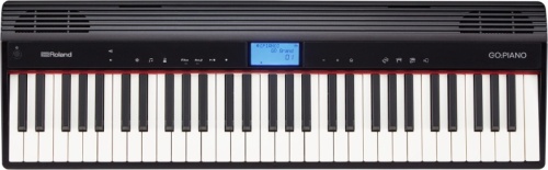 ROLAND GO-61P